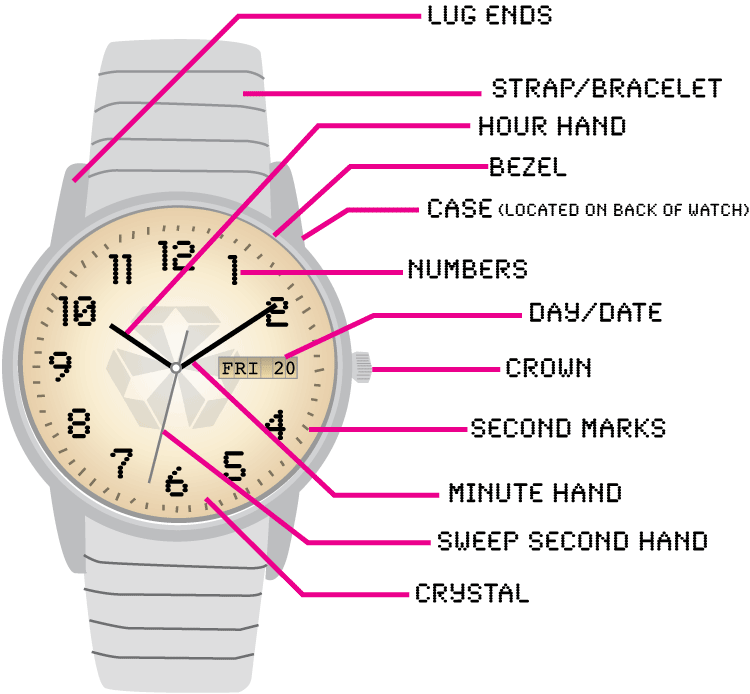 Visual Diagram of a Wrist Watch