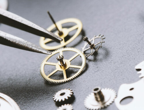 Job Opening for Watchmaker (Plymouth,UK)