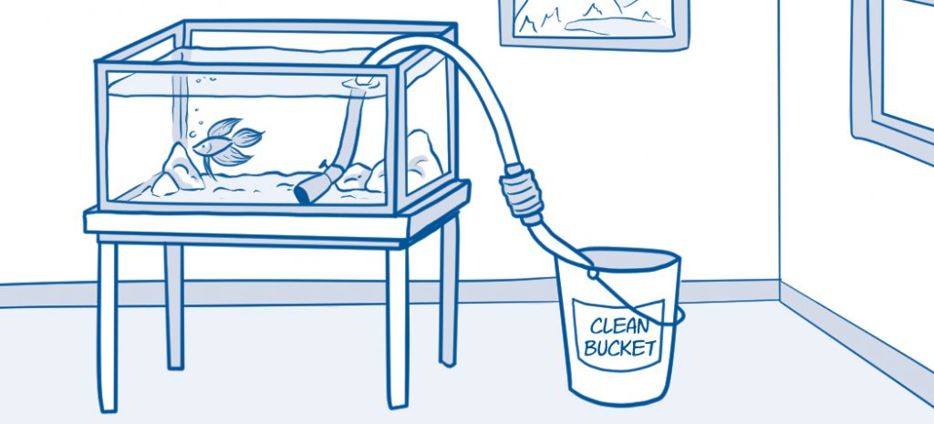 drawing of aquarium being drained