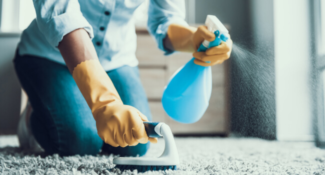 Can Landlords Charge for Carpet Cleaning? -Fantastic Services UK