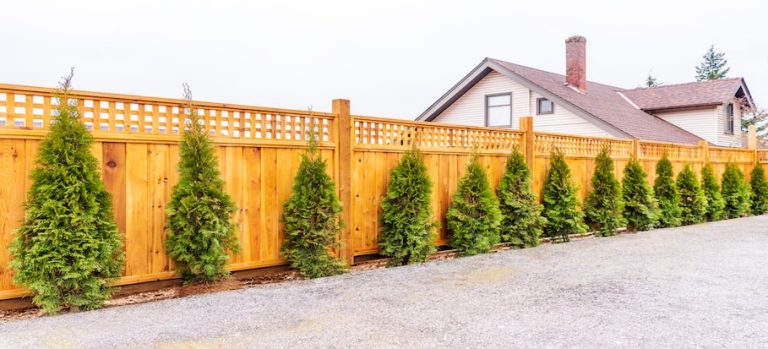 Garden Fencing: Choosing the Best Type of Wooden Fence for Your Garden