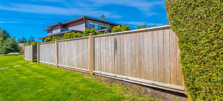 featherboard or close board fencing