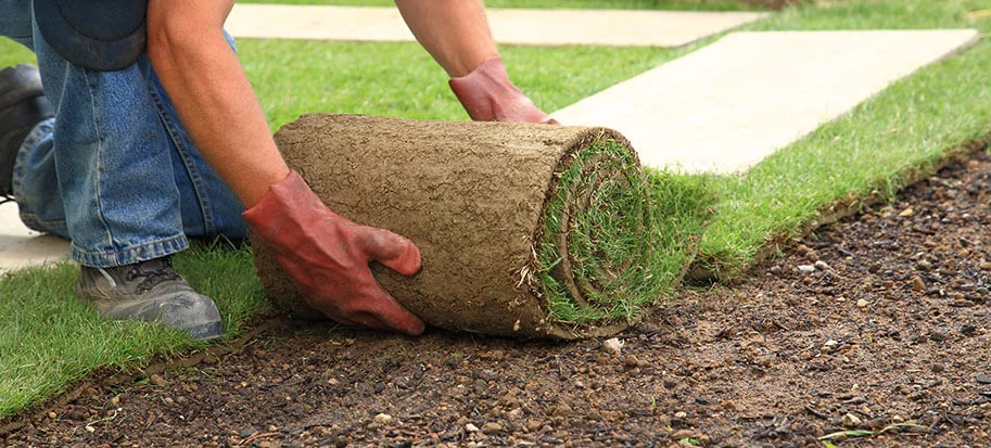 laying turf in the rain