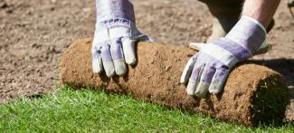 Can You Lay Turf in the Rain? – Fantastic Services UK