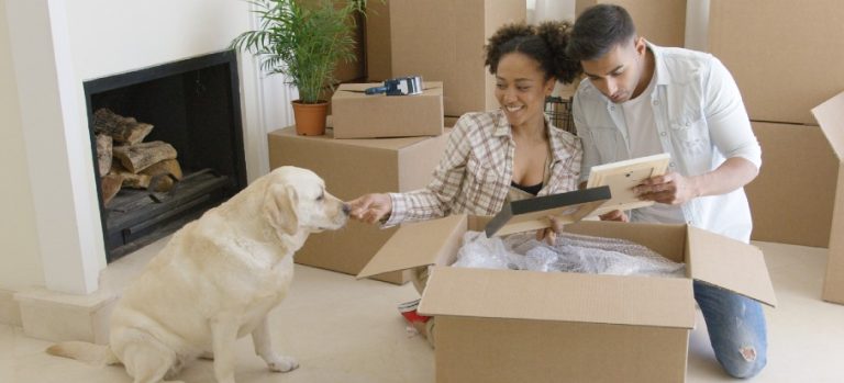 How to Help a Dog Settle Into a New Home – Fantastic Services UK