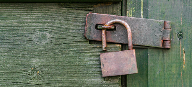 10 Steps to Secure a Garden Shed