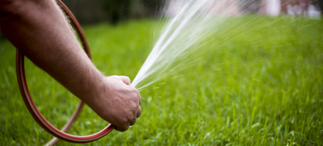 What is the best time to water your lawn in hot weather?