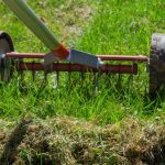 lawn scarifying